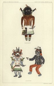 Wukokoti, Kohonino (kleurenlitho) door American School