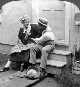 Landelijke Liefde door American Stereoscopic Company