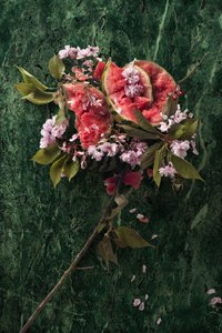  door Ana Carolina Tavares Mizrahi