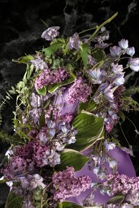  door Ana Carolina Tavares Mizrahi
