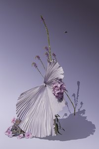  door Ana Carolina Tavares Mizrahi