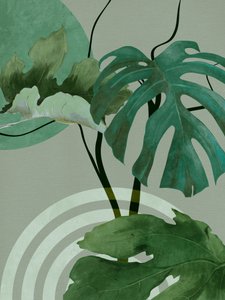 Nog 12 exemplaren beschikbaar