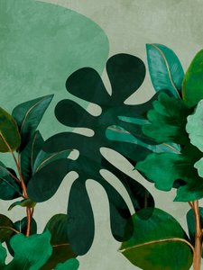 Nog 8 exemplaren beschikbaar