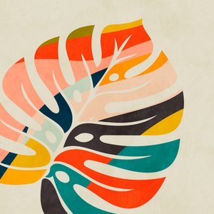 Kleurrijk Monstera-blad