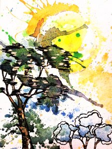 Samenvatting: Bomen in de zon