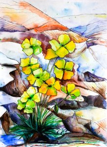 Kleurrijke bergbloemen door Anda Bieza