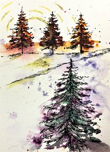 De gloed van het winterbos