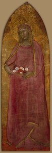 Sint Elisabeth van Hongarije