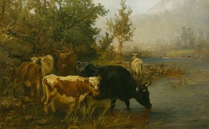 Koeien bij het water door Anders Askevold