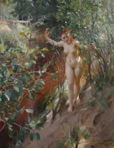 Rood zand door Anders Leonard Zorn
