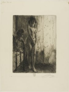 Een Donkere Hoek door Anders Leonard Zorn