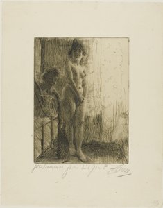 Een Donkere Hoek door Anders Leonard Zorn