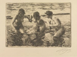  door Anders Zorn