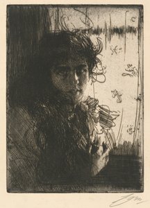 door Anders Zorn