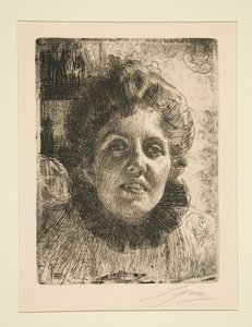  door Anders Zorn