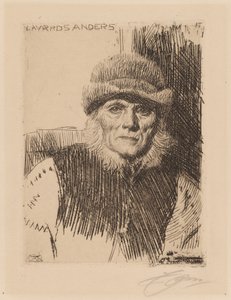  door Anders Zorn