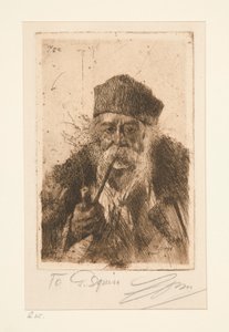 Beul uit Siebenburger (Hongaarse Zigeuner)