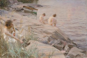  door Anders Zorn