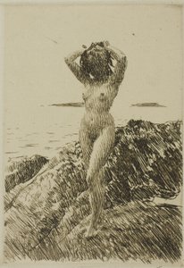 Hårtång (Zeewierkrans) door Anders Leonard Zorn