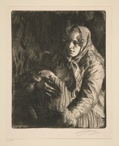  door Anders Zorn