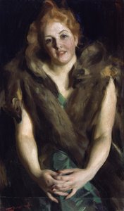  door Anders Zorn