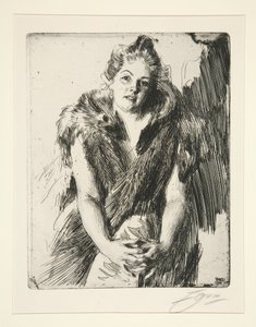  door Anders Zorn
