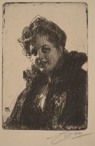  door Anders Zorn