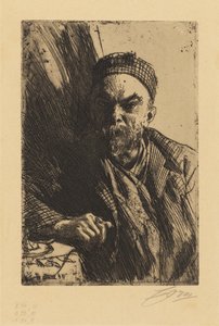  door Anders Zorn