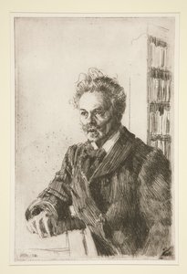 door Anders Zorn