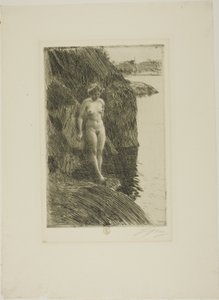 Afgrond door Anders Leonard Zorn