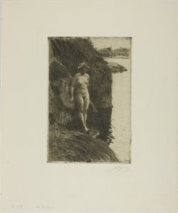 Afgrond door Anders Leonard Zorn