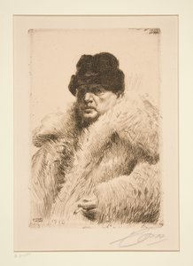  door Anders Zorn