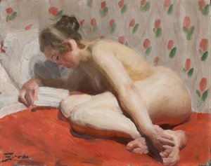  door Anders Zorn