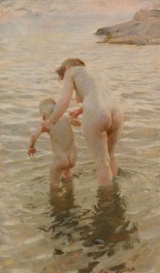  door Anders Zorn