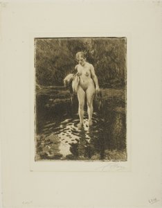 De doorwaadbare plaats door Anders Leonard Zorn