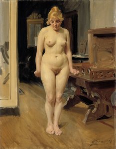  door Anders Zorn