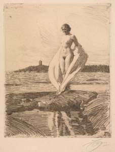 De zwaan door Anders Leonard Zorn
