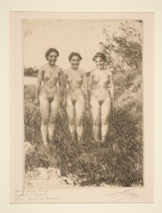 Drie zussen