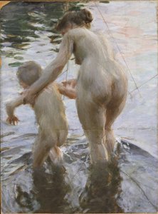  door Anders Zorn