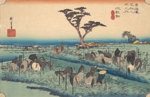 Chiriu, Station nr. 40 door Ando Hiroshige
