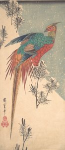 Gouden Fazant en Dennenscheuten in Sneeuw, ca. 1835 door Ando Hiroshige