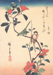 Japanse wit-oog en mees op een cameliatak