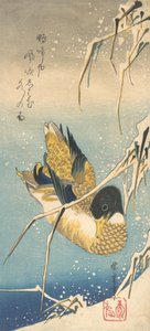 Wilde eend en met sneeuw bedekte rietstengels door Ando Hiroshige