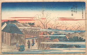 Ochtendkersen in Yoshiwara