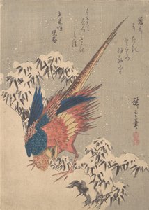 Fazant Tussen Met Sneeuw Beladen Bamboe op Heuvel, ca. 1840 door Ando Hiroshige