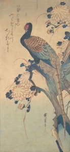 Fazant met chrysanten door Ando Hiroshige