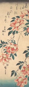 Rozen door Ando Hiroshige