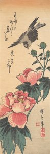 Mus en hibiscus, ca. 1834