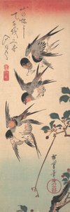 Zwaluwen en Ontluikende Wilde Kers, ca. 1835 door Ando Hiroshige