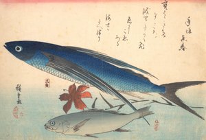 Tobiuo en Ishimochi vis, uit de serie Uozukushi Elke soort vis, 1840s door Ando Hiroshige